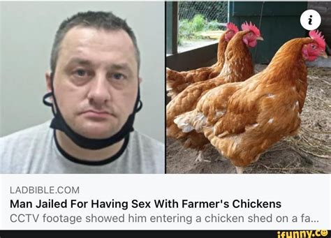 can you fuck a chicken|Man Jailed After Having Sex with Chickens .